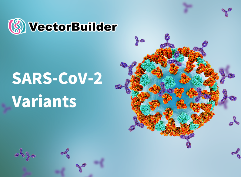 SARS-CoV-2 variants: Human antibody-mediated immunity or Harry Houdini?